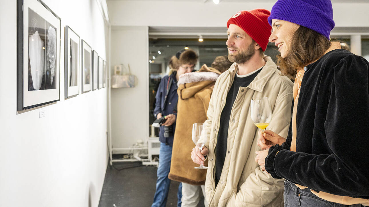 vorarlberg projectss